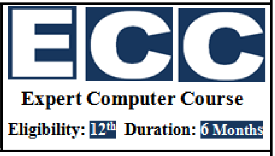 EXPERT COMPUTER COURSE (ECC)