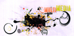 MATER DIPLOMA IN PROFESSIONAL ACCOUNTANT